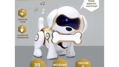 Photo of Какие боты выбрать для музыки